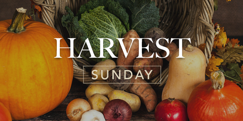 Harvest Sunday Pumkin Event